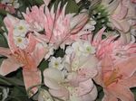 Bild 0386